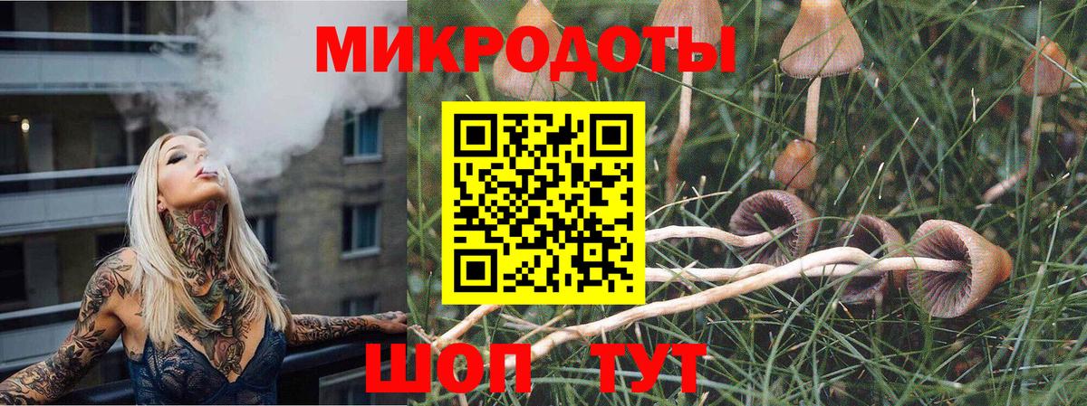 Псилоцибиновые грибы GOLDEN TEACHER Алапаевск